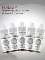 Набор пигментов для татуажа бровей Face (5шт.)
